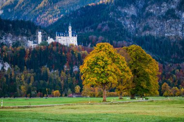 Neuschwanstein Şatosu sonbaharın güzel görünümü