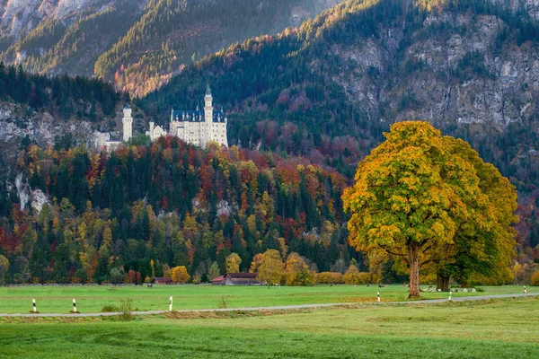 Красивый вид на замок Нойшванштайн осенью — стоковое фото