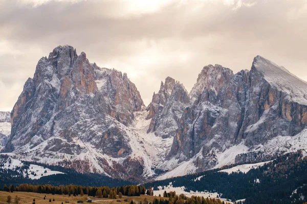 Alpe di Siusi con Langkofel Group, Italia — Foto Stock