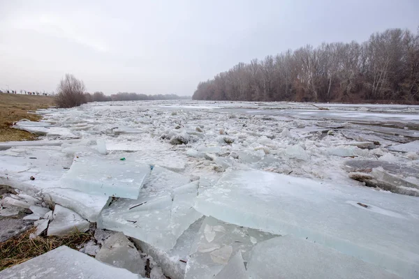 春天的洪水, 浮冰在河上 — 图库照片