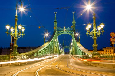 Budapeşte, Macaristan 'daki Özgürlük Köprüsü