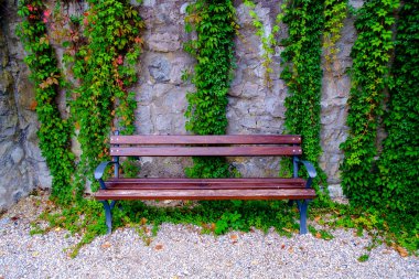 Parkta yeşil yaprakları duvarın üzerinden ahşap Bank.