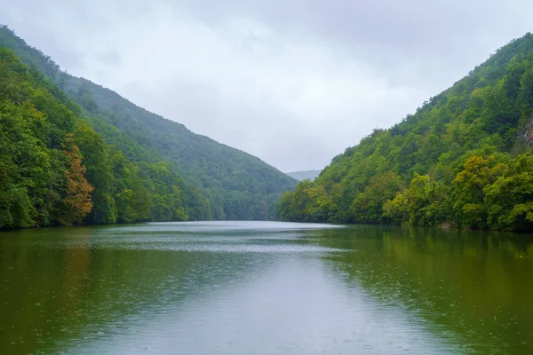 Forest lake Hamori-Ungern — Stockfoto