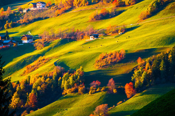 Colorful autumn mountain hill landscape scene in Dolomites, South Tyrol, Italy