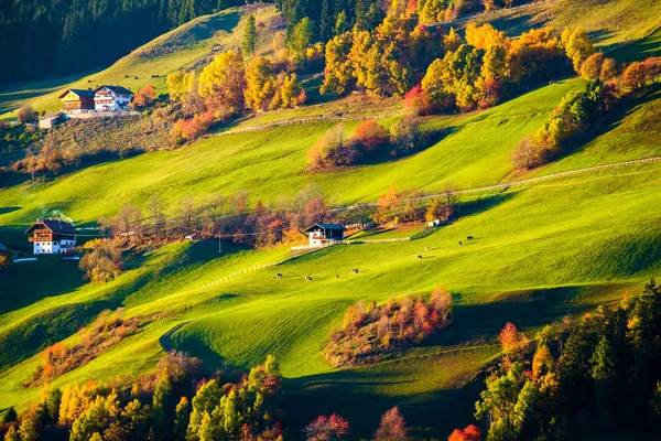 Kolorowa jesień krajobraz sceny — Zdjęcie stockowe
