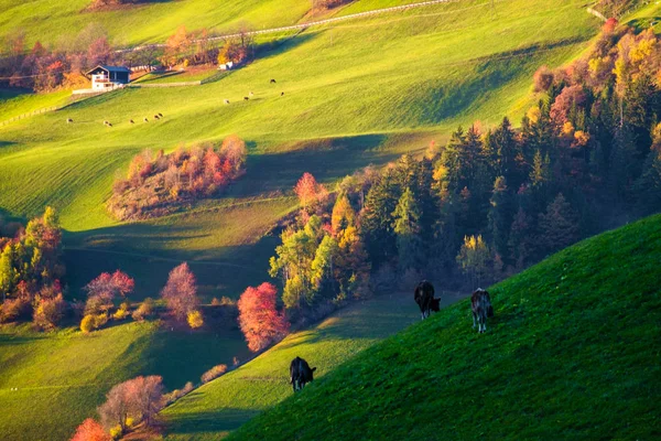 Kleurrijke herfst landschap scène — Stockfoto