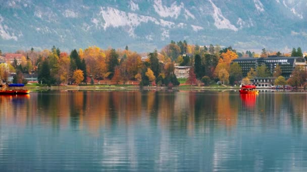 Barco Pletna Tradicional Lago Bled Com Igreja Peregrinação Assunção Maria — Vídeo de Stock