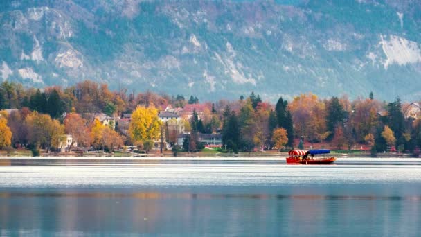 Barco Pletna Tradicional Lago Bled Com Igreja Peregrinação Assunção Maria — Vídeo de Stock