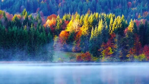 Widok Geroldsee Jesienią Mglisty Sunrise Alpy Bawarskie Bavaria Niemcy — Wideo stockowe