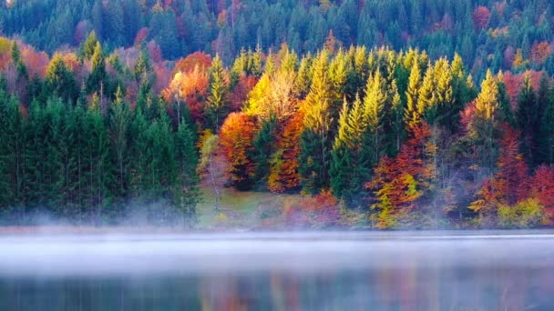 バイエルン アルプス ババリア ドイツの霧日の出と秋の間に Geroldsee ビュー — ストック動画