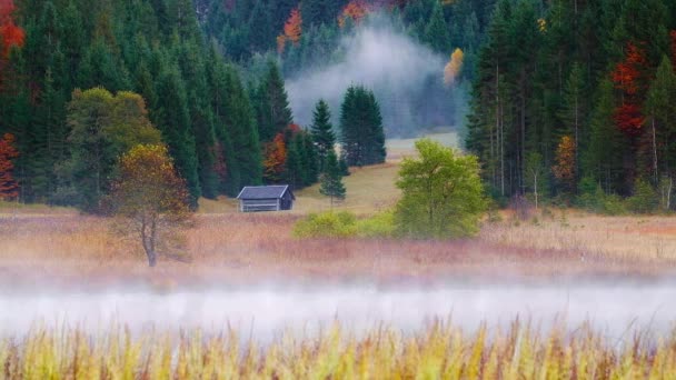 Vista Geroldsee Durante Otoño Con Nebuloso Amanecer Los Alpes Bávaros — Vídeos de Stock