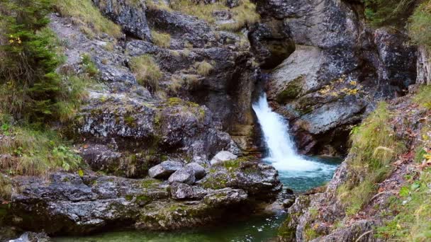 Cascade Kuhfluchtwasserfall Près Farchant Garmisch Partenkirchen Bavière Allemagne — Video