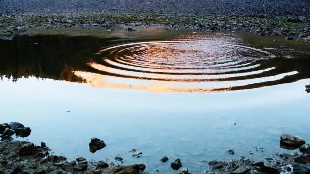 Stein Fällt Ruhigem Wasser Karersee Lago Carezza Und Den Dolomiten — Stockvideo