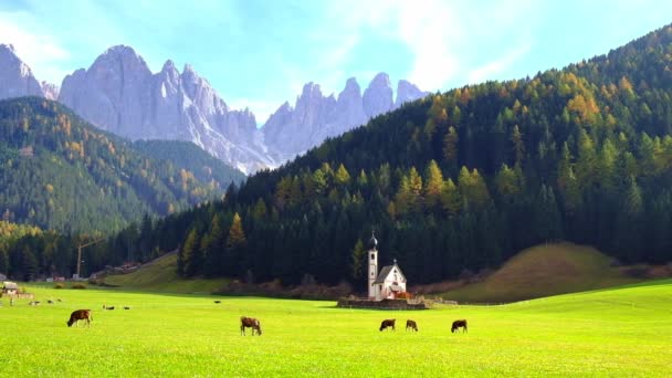 美丽的秋天森林与巴洛克式的教会 Johann Val 富内斯 白云岩 意大利 — 图库视频影像