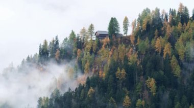 Orman ağaçları ile bulutlar ve sis sis ve kırmızı Kayak Dolomites, South Tyrol, İtalya asansörde