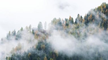 Orman ağaçları ile bulutlar ve sis sis ve kırmızı Kayak Dolomites, South Tyrol, İtalya asansörde