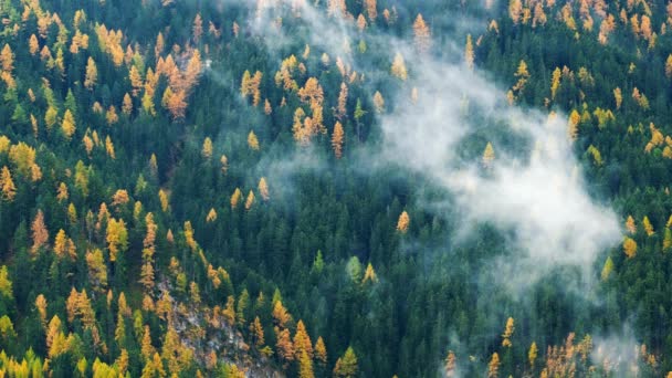 Waldbäume Mit Wolken Und Nebel Und Roter Skilift Den Dolomiten — Stockvideo