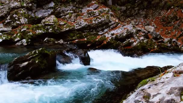 Slavné Soutěsce Vintgar Canyon Bledu Triglav Slovinsko Evropa — Stock video