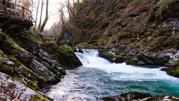 有名なヴィントガル渓谷ブレッド スロベニア トリグラフ ヨーロッパ付近の渓谷 — ストック動画