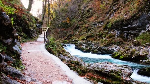 有名なヴィントガル渓谷ブレッド スロベニア トリグラフ ヨーロッパ付近の渓谷 — ストック動画