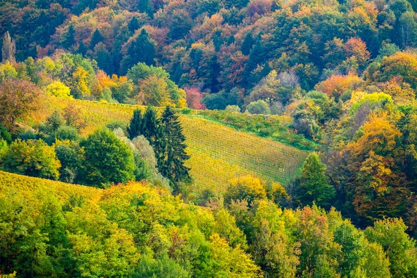 Beautiful Autumn Landscape — Stock Photo, Image