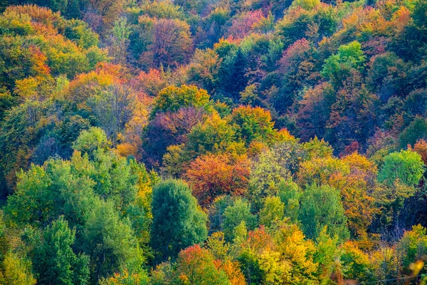 Beautiful Autumn Landscape — Stock Photo, Image