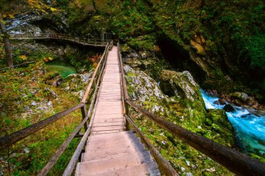 Slovenya, Bled yakınlarındaki Vintgar Geçidi