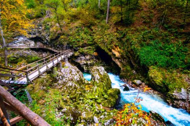 Slovenya, Bled yakınlarındaki Vintgar Geçidi