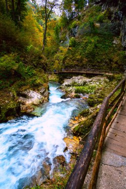 Slovenya, Bled yakınlarındaki Vintgar Geçidi