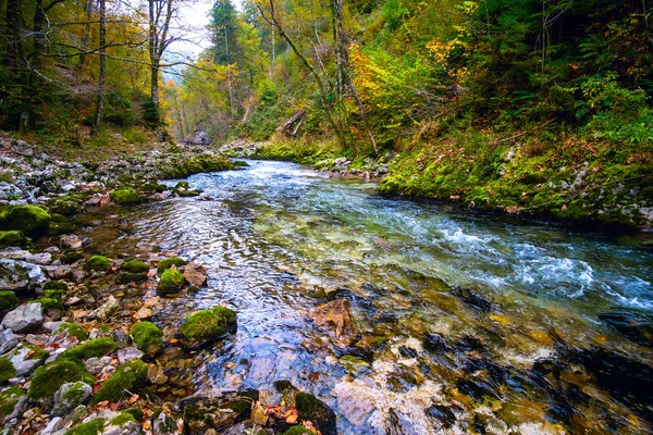 Gorge du Vintgar près de Bled, Slovénie — Photo