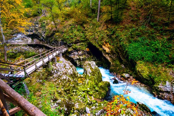 Gorge du Vintgar près de Bled, Slovénie — Photo