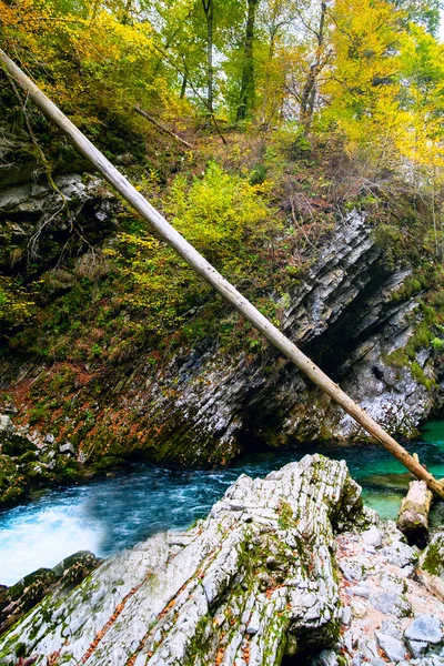 Gorge du Vintgar près de Bled, Slovénie — Photo