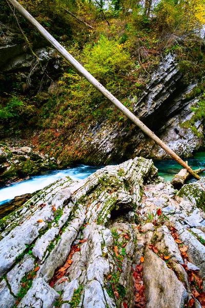 Gorge du Vintgar près de Bled, Slovénie — Photo