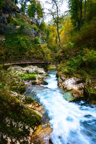 Vintgar Gorge perto de Bled, Eslovénia — Fotografia de Stock