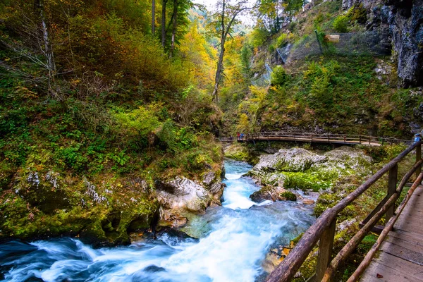 Garganta de Vintgar cerca de Bled, Eslovenia — Foto de Stock