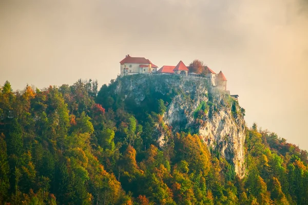 Bled castle above Lake Bled in Slovenia. — Stock Photo, Image