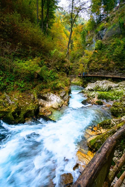 Vintgar Gorge w pobliżu Bled, Słowenia Obrazek Stockowy