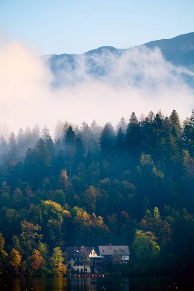 Wczesny mglisty poranek nad jeziorem Bled — Zdjęcie stockowe