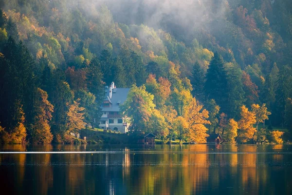 Early foggy morning on the Bled lake — Stock Photo, Image