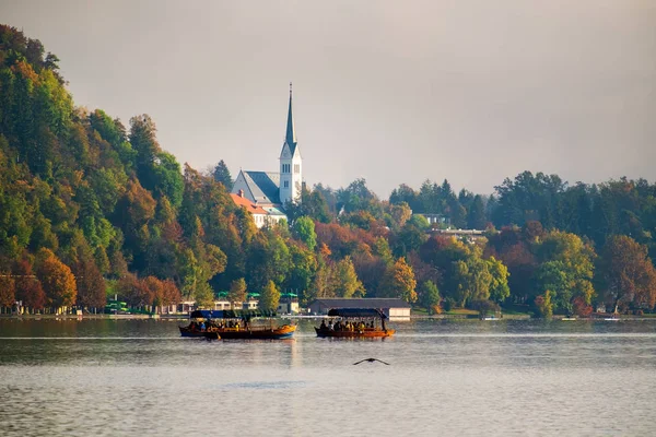 Lago Bled en la neblina mañana de otoño —  Fotos de Stock