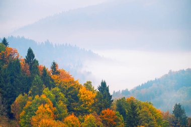 Slovenya sonbahar manzara