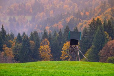 Slovenya sonbahar manzara