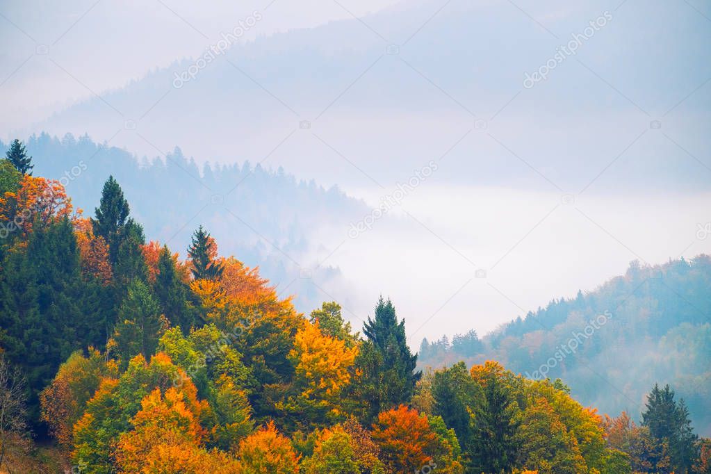 Autumn landscape in Slovenia