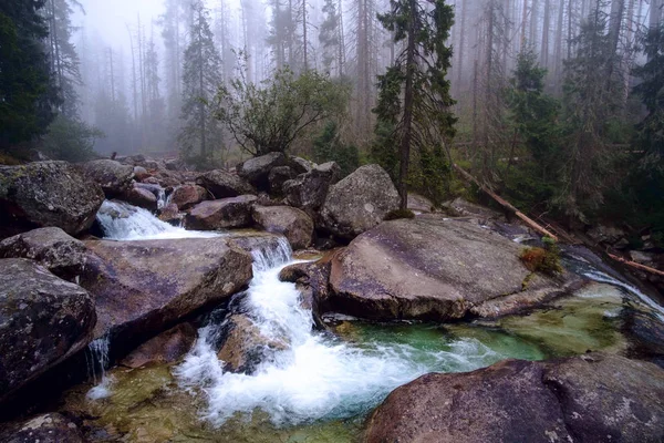 Hideg patak Nagy-Hideg-völgyben Szlovákiában — Stock Fotó