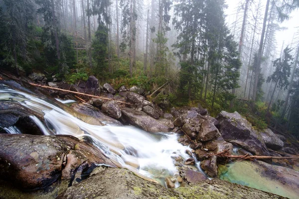 Frio frio em Great Cold Valley, na Eslováquia — Fotografia de Stock