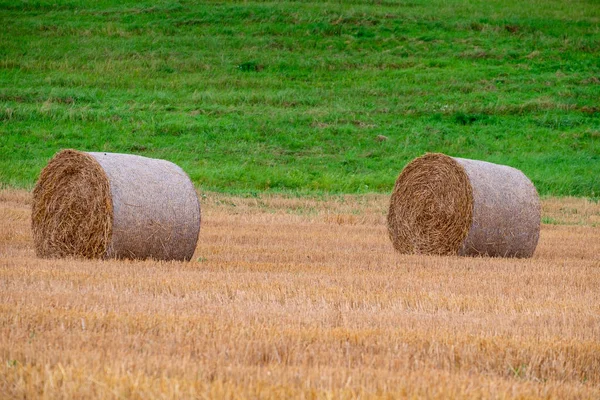 Hay bales on the field after harvest — Stock Photo, Image