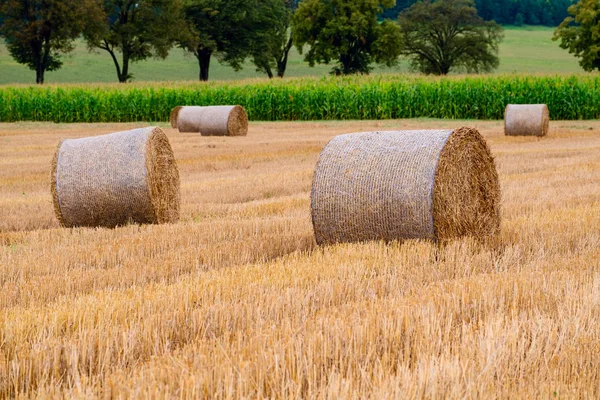 Hay bales on the field after harvest — Stock Photo, Image