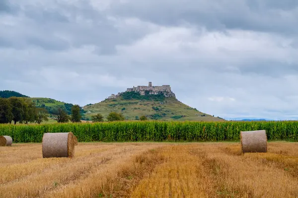 Szlovák vidék. Szénabálák a mezőn betakarítás után — Stock Fotó