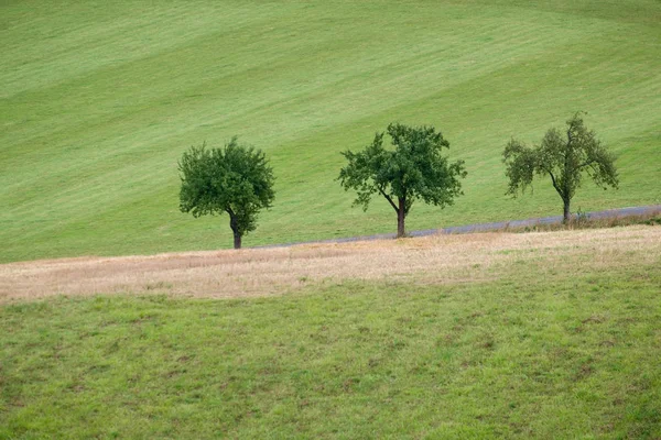 Eslováquia Primavera rural — Fotografia de Stock