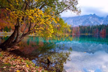 Fusine Gölü - Lago di Fusine - Kuzey İtalya 'da Alpler' de.